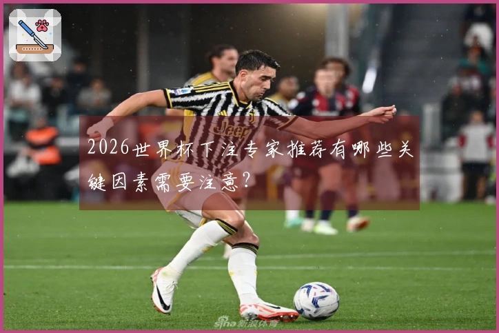 2026世界杯下注专家推荐有哪些关键因素需要注意？