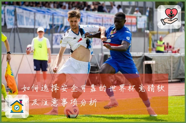 如何选择安全可靠的世界杯竞猜软件及注意事项分析