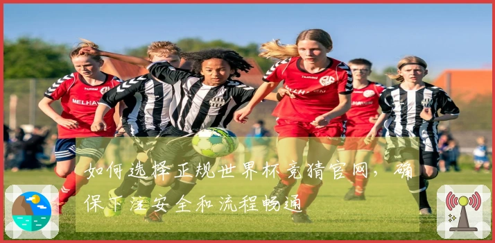 如何选择正规世界杯竞猜官网，确保下注安全和流程畅通