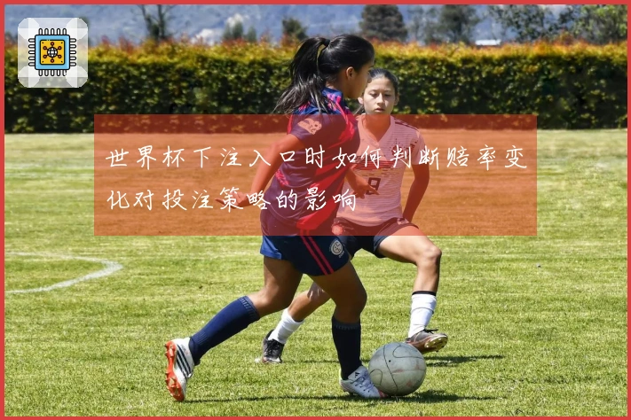 世界杯下注入口时如何判断赔率变化对投注策略的影响