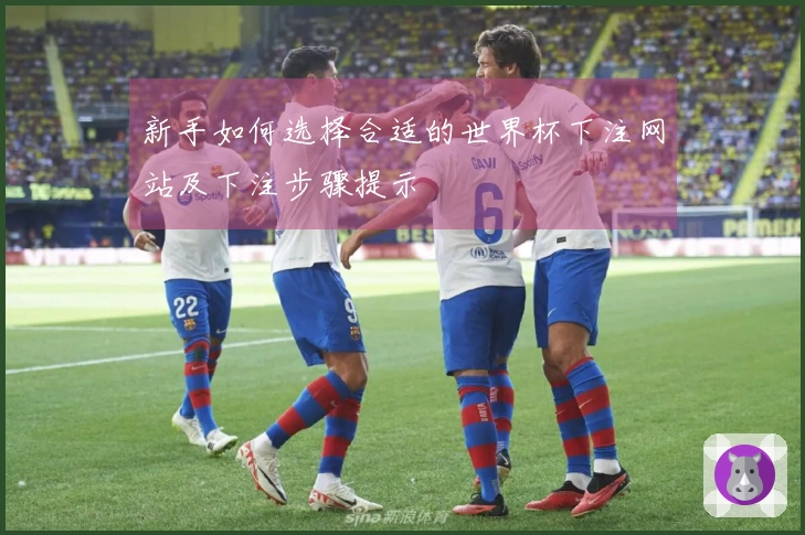 新手如何选择合适的世界杯下注网站及下注步骤提示