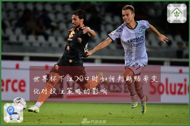 世界杯下注入口时如何判断赔率变化对投注策略的影响