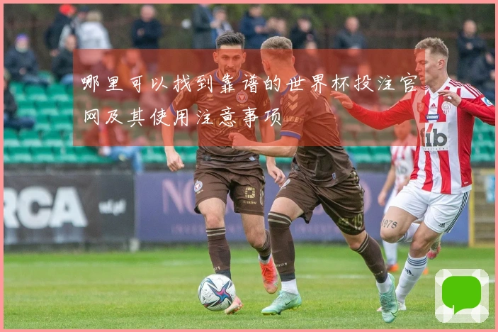 哪里可以找到靠谱的世界杯投注官网及其使用注意事项
