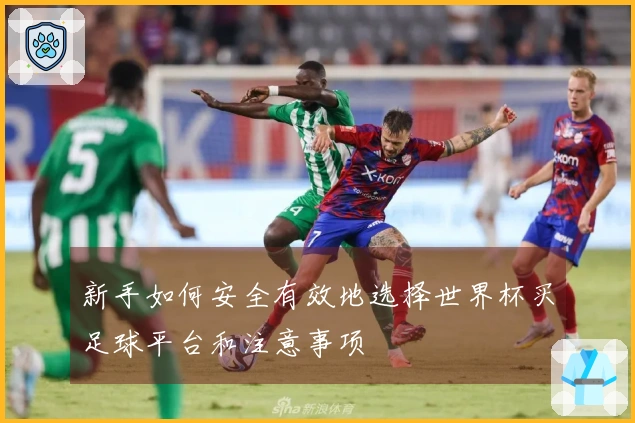 新手如何安全有效地选择世界杯买足球平台和注意事项