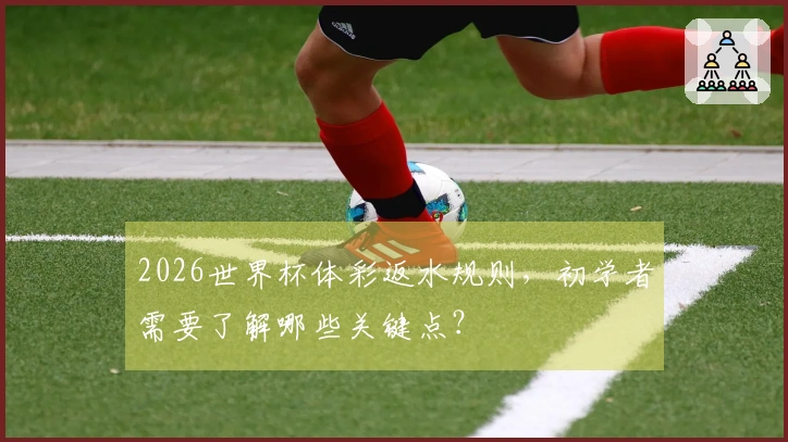 2026世界杯体彩返水规则，初学者需要了解哪些关键点？