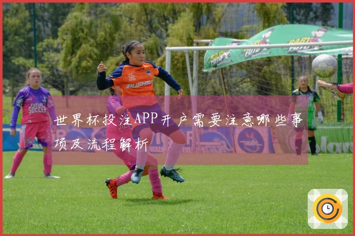 世界杯投注APP开户需要注意哪些事项及流程解析