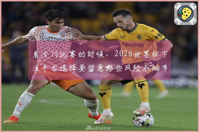 看冷门比赛的时候，2026世界杯下注平台选择要留意哪些风险和细节？