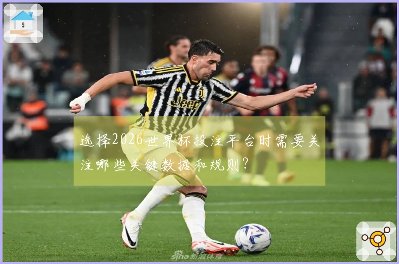 选择2026世界杯投注平台时需要关注哪些关键数据和规则？