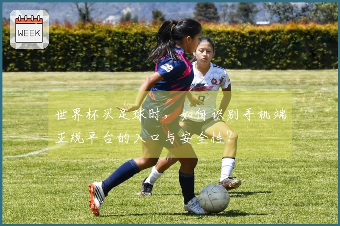世界杯买足球时，如何识别手机端正规平台的入口与安全性？