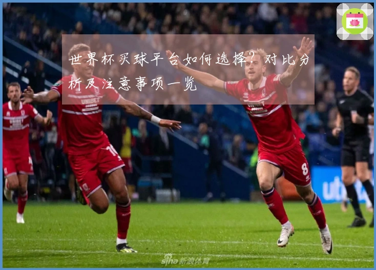 世界杯买球平台如何选择？对比分析及注意事项一览