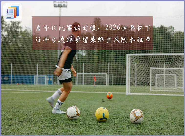 看冷门比赛的时候，2026世界杯下注平台选择要留意哪些风险和细节？