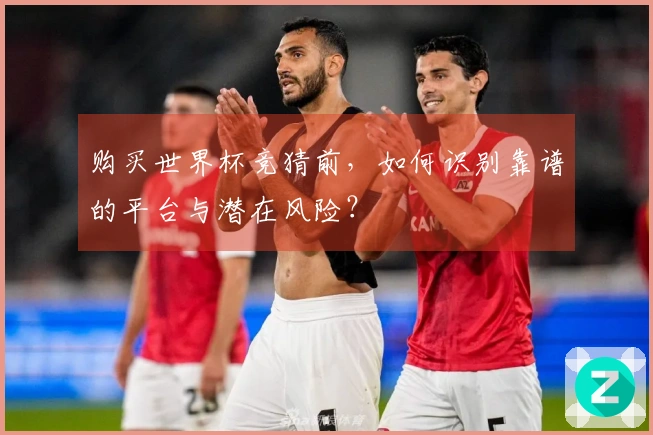 购买世界杯竞猜前，如何识别靠谱的平台与潜在风险？