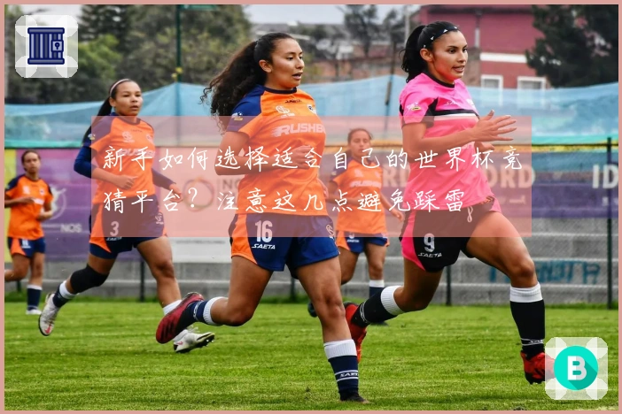 新手如何选择适合自己的世界杯竞猜平台？注意这几点避免踩雷
