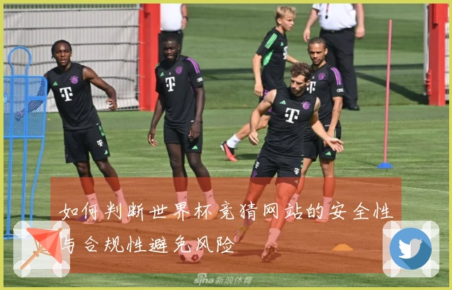 如何判断世界杯竞猜网站的安全性与合规性避免风险