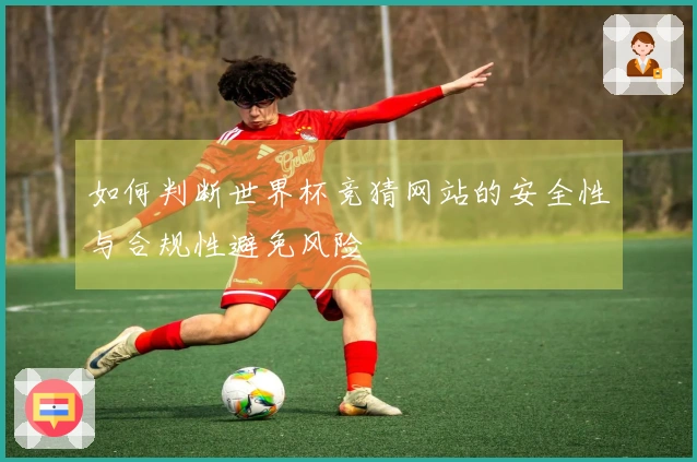 如何判断世界杯竞猜网站的安全性与合规性避免风险