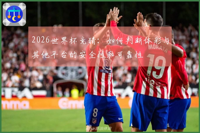 2026世界杯竞猜：如何判断体彩与其他平台的安全性和可靠性