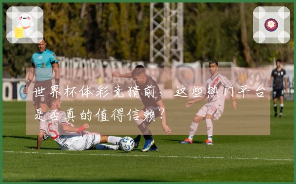 世界杯体彩竞猜前，这些热门平台是否真的值得信赖？