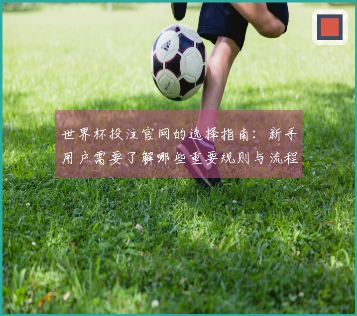 世界杯投注官网的选择指南：新手用户需要了解哪些重要规则与流程